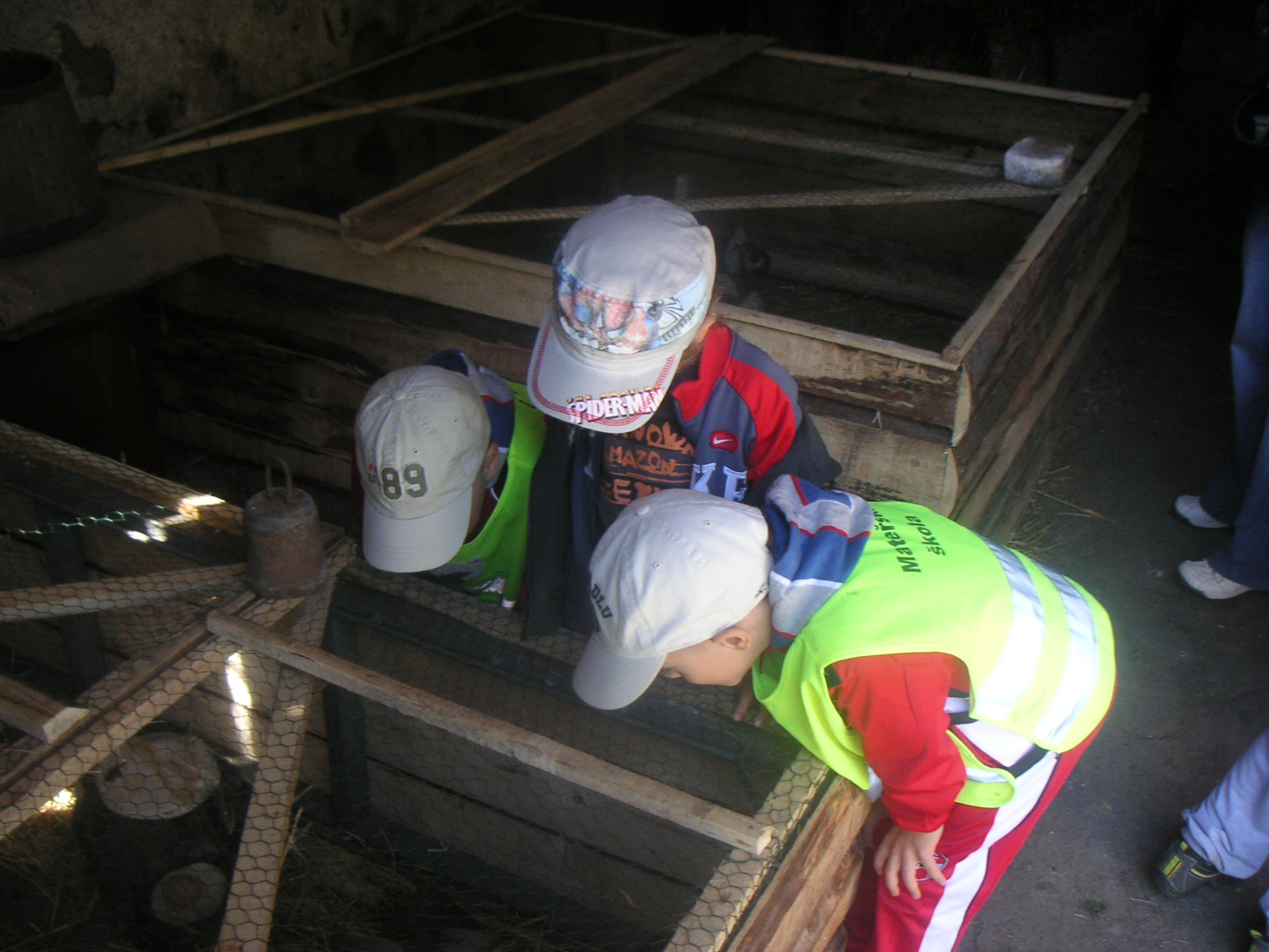 PICT0167.JPG